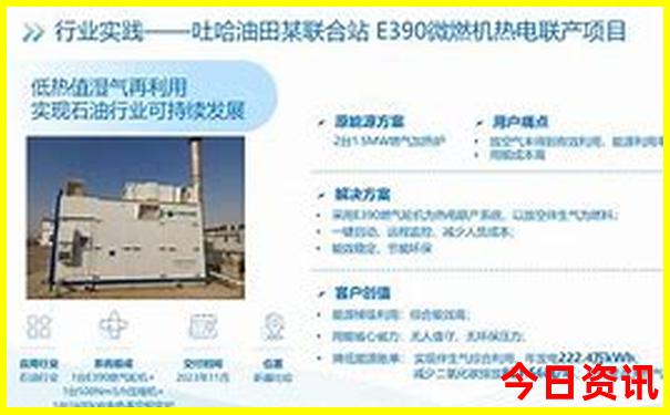 新澳门码开奖结果